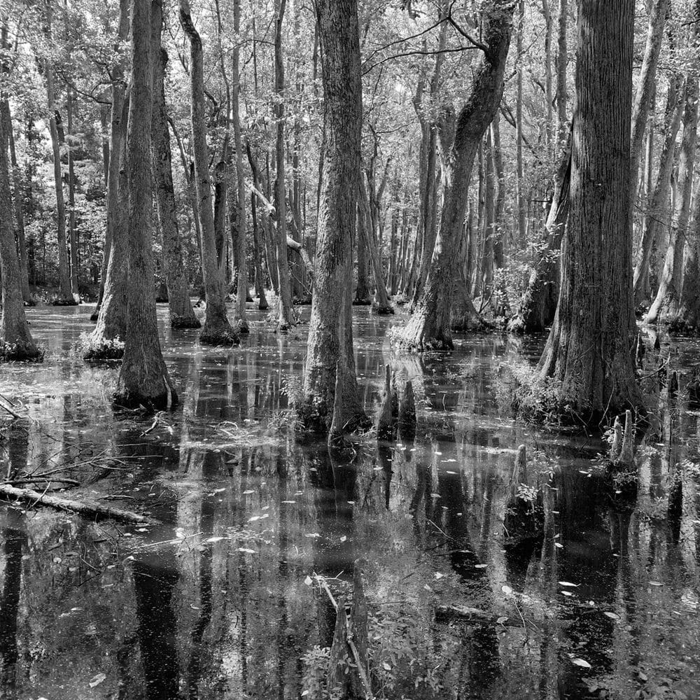 Best Hiking Trails in Jackson MS