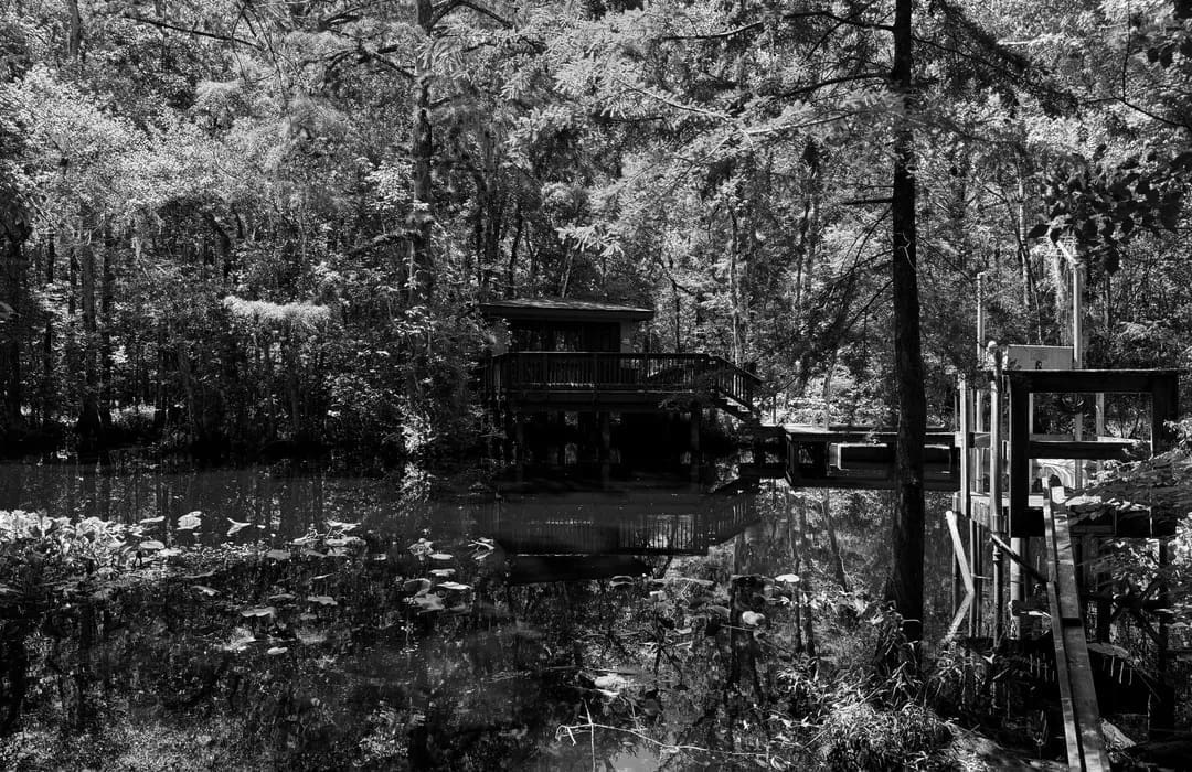 Best Hiking Trails in Jacksonville GA