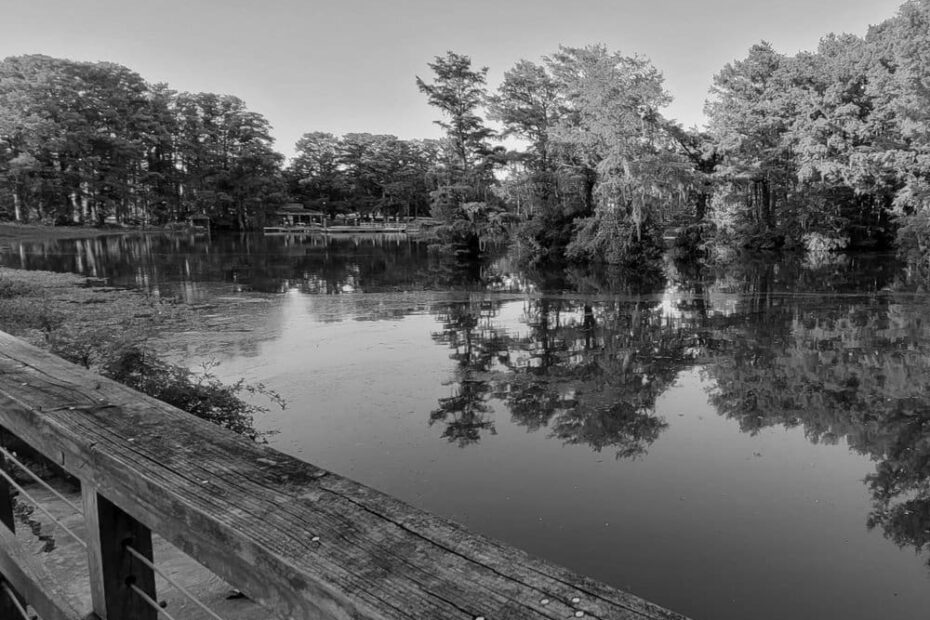 Best Hiking Trails in Jacksonville NC