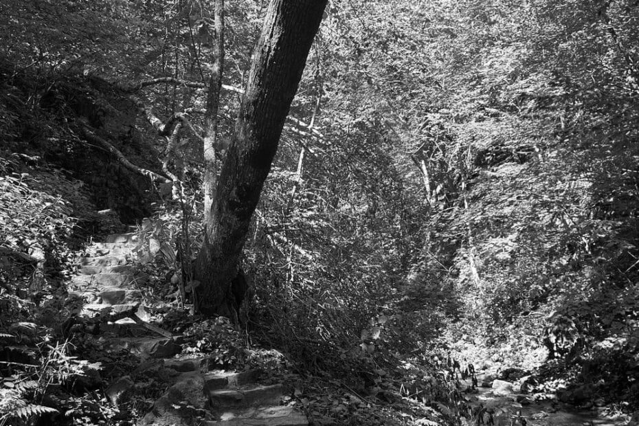 Best Hiking Trails in Janesville WI
