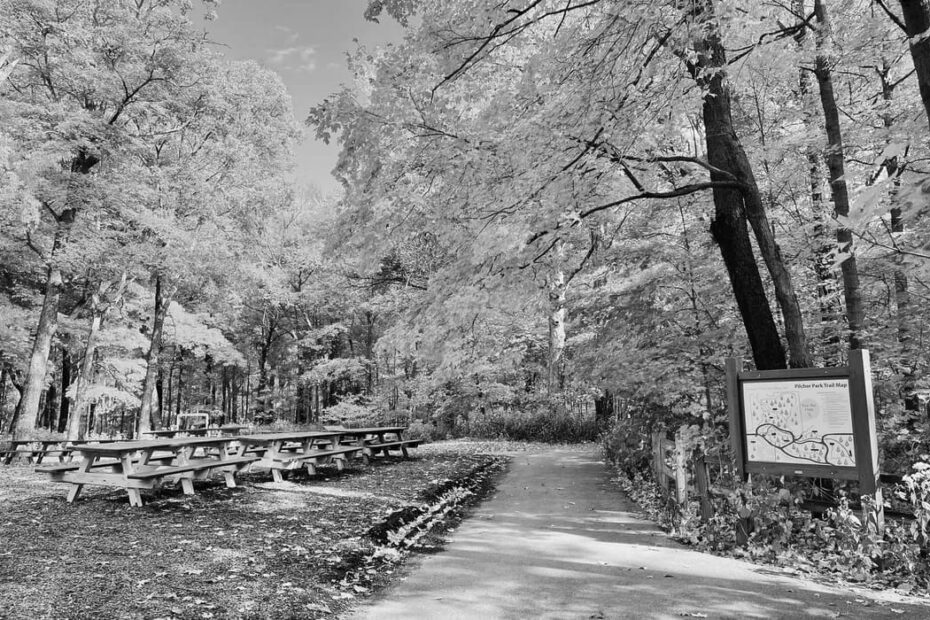 Best Hiking Trails in Joliet IL