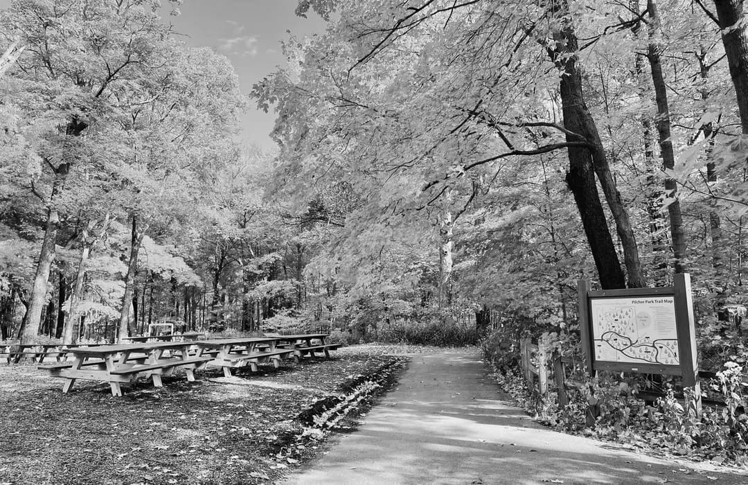 Best Hiking Trails in Joliet IL
