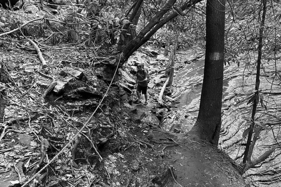 Best Hiking Trails in Kingsport VA