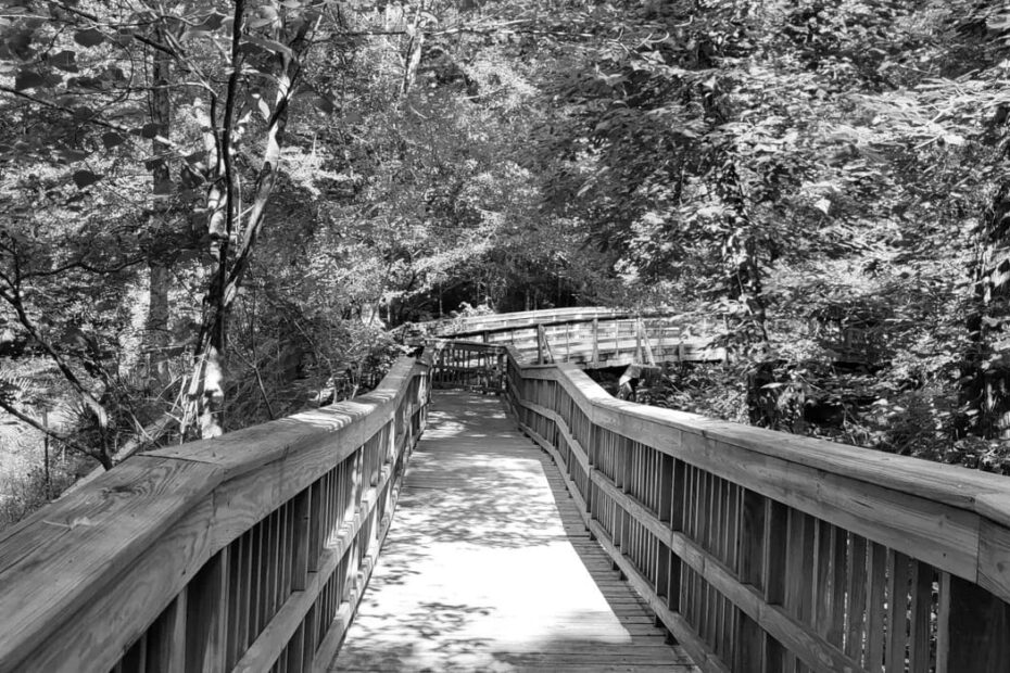 Best Hiking Trails in Lafayette IN