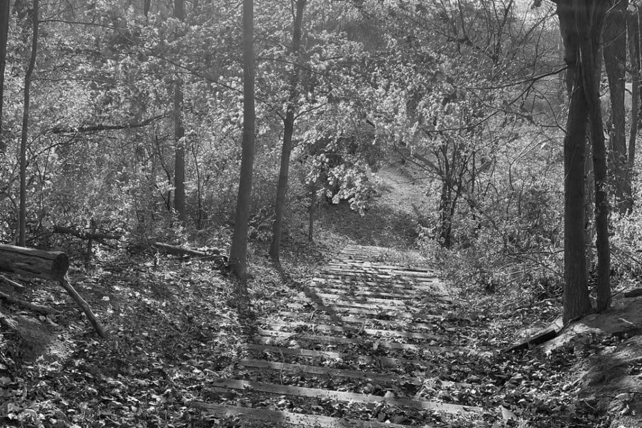 Best Hiking Trails in Livonia MI