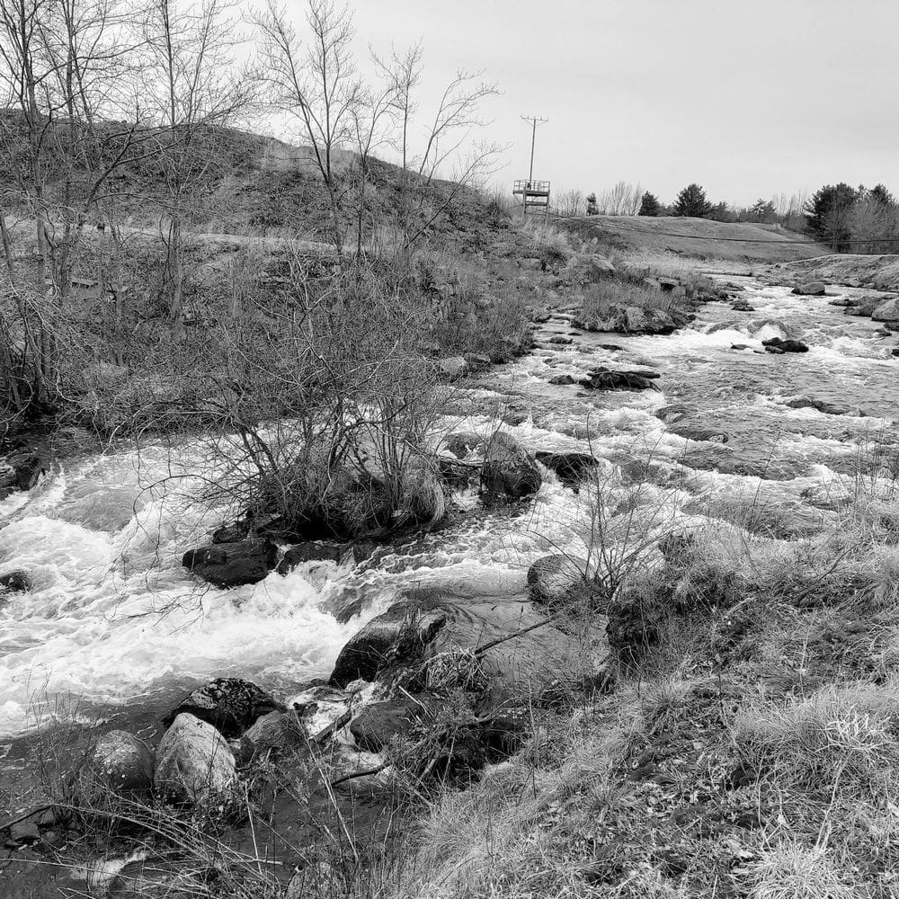 Best Hiking Trails in Londonderry NH