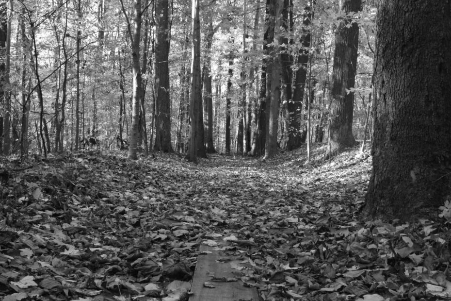 Best Hiking Trails in Lorain OH