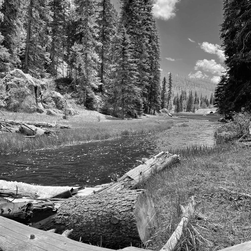 Best Hiking Trails in Los Alamos NM