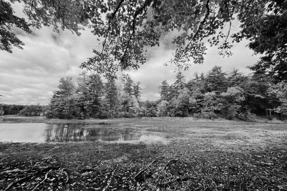 Best Hiking Trails in Manchester NH
