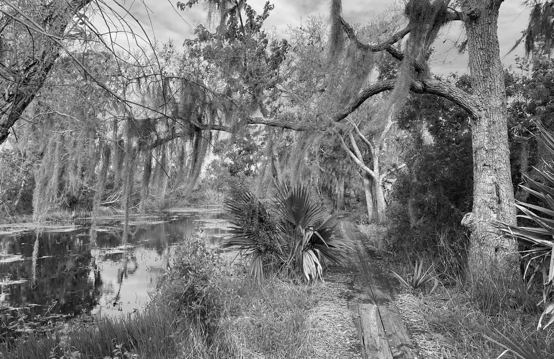 Best Hiking Trails in Marrero LA