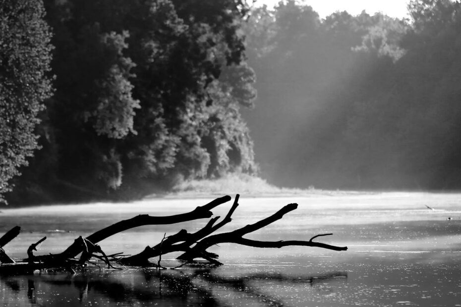 Best Hiking Trails in Memphis TN