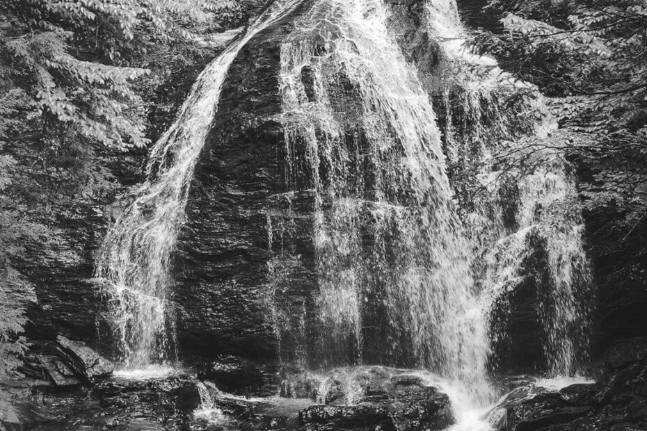 Best Hiking Trails in Middlebury VT