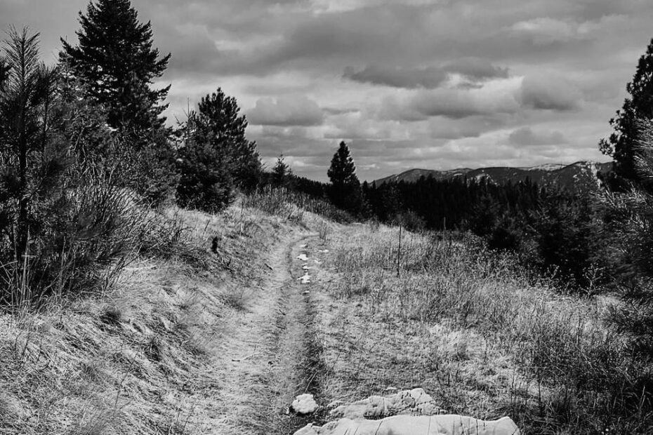 Best Hiking Trails in Missoula MT