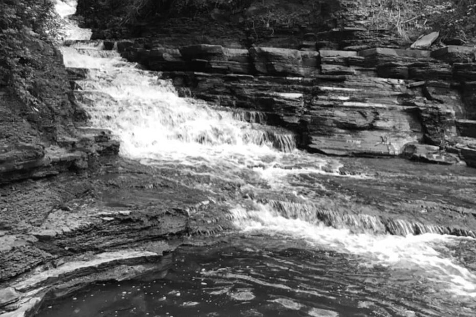 Best Hiking Trails in Morgantown WV