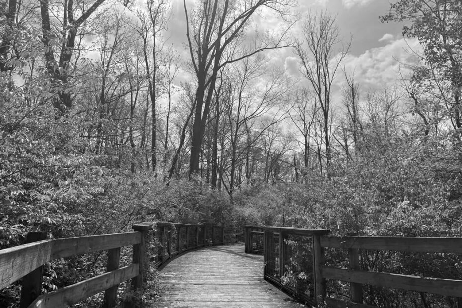Best Hiking Trails in Muncie IN