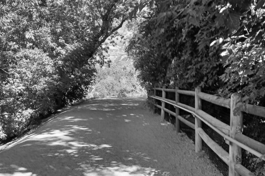 Best Hiking Trails in Murray UT