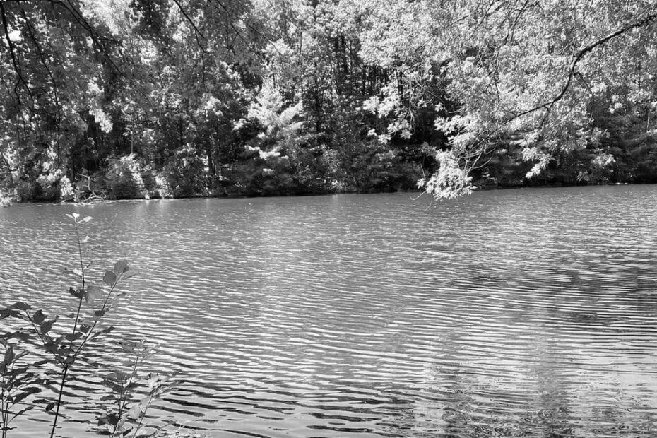 Best Hiking Trails in Nashua NH