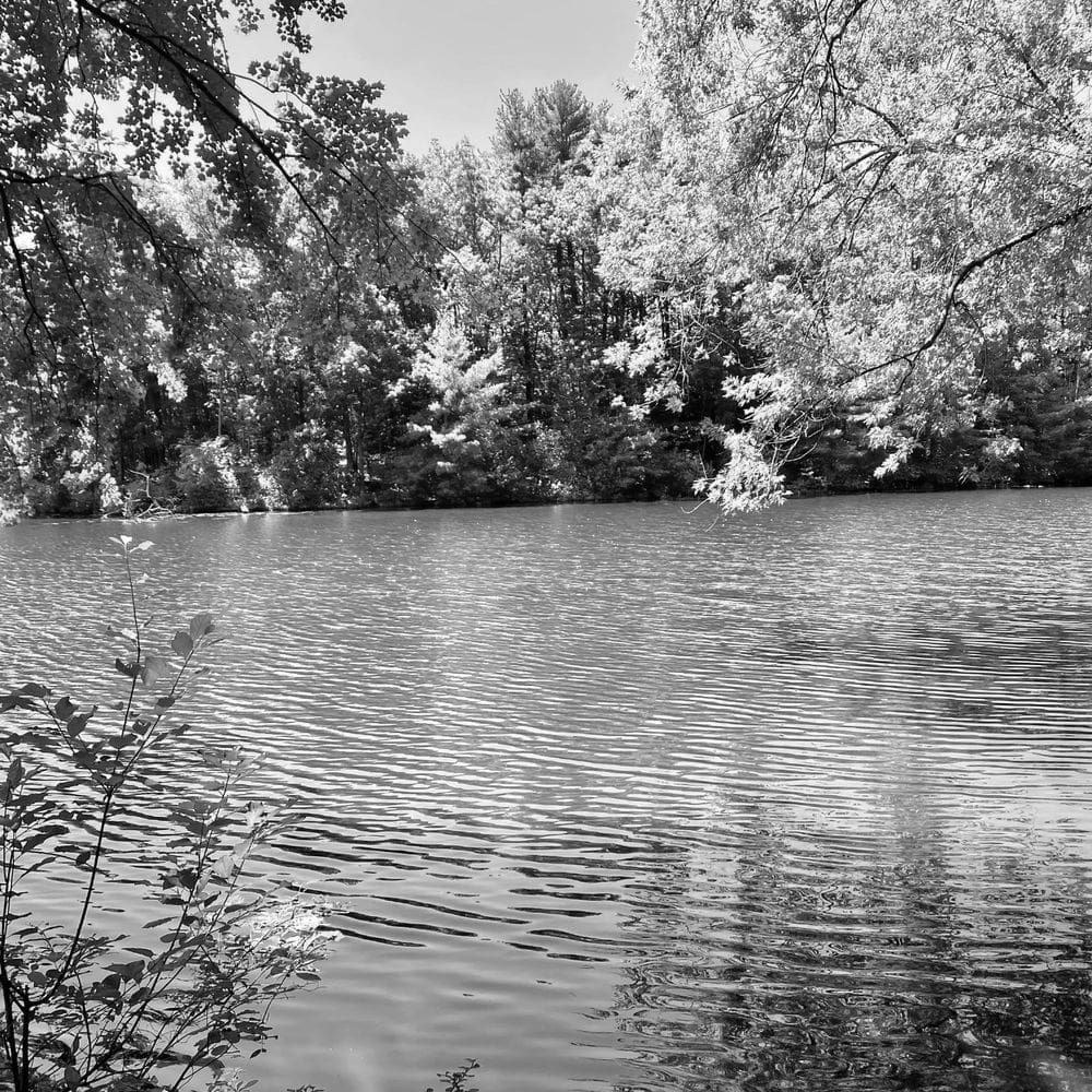 Best Hiking Trails in Nashua NH