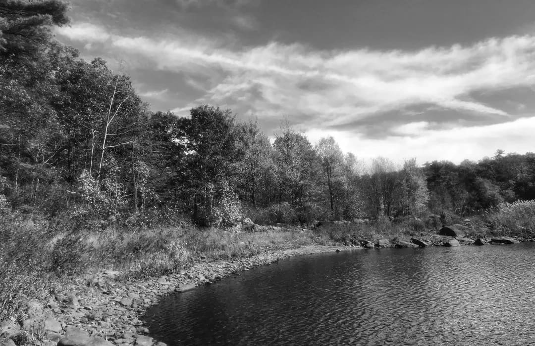 Best Hiking Trails in Newark NJ