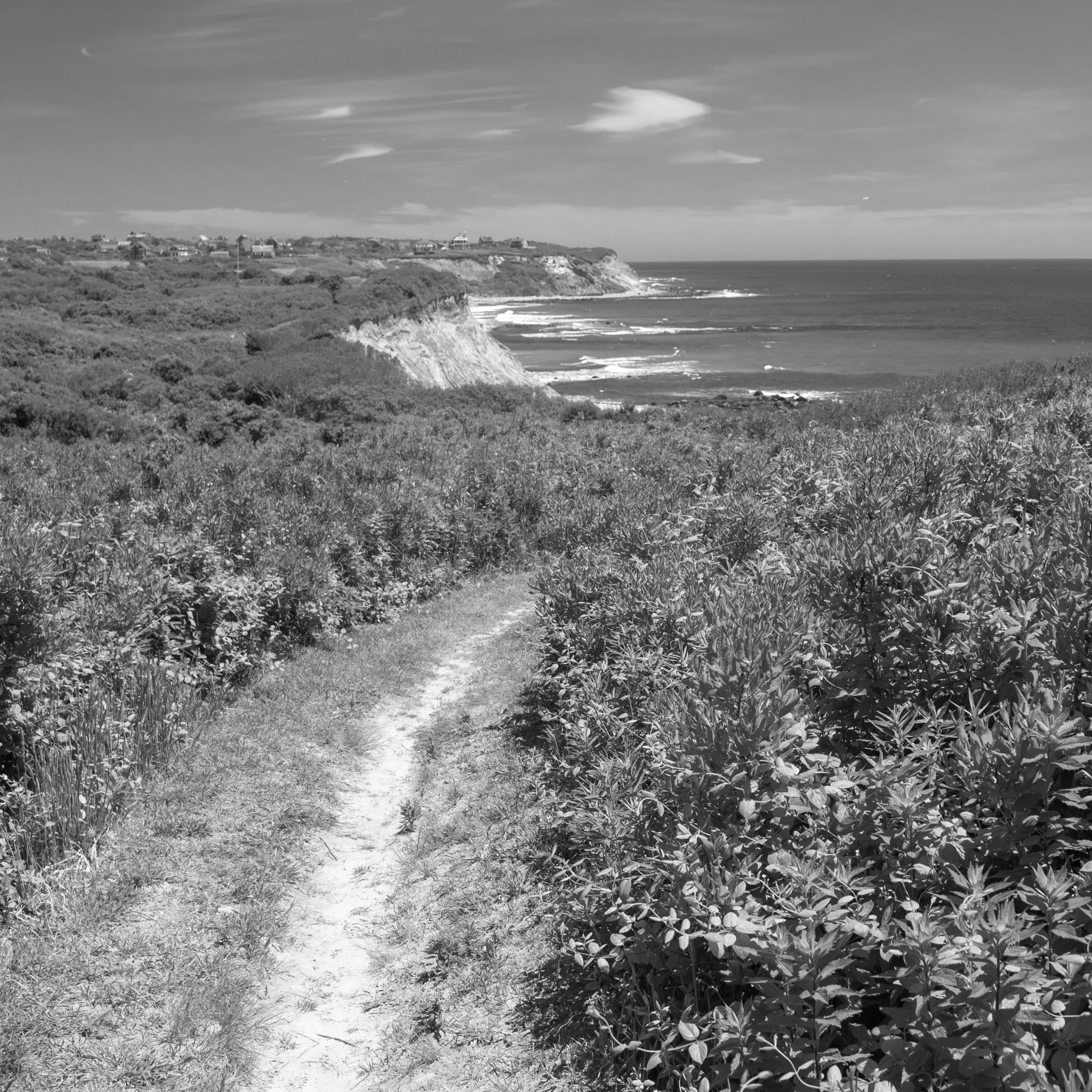 Best Hiking Trails in Newport RI