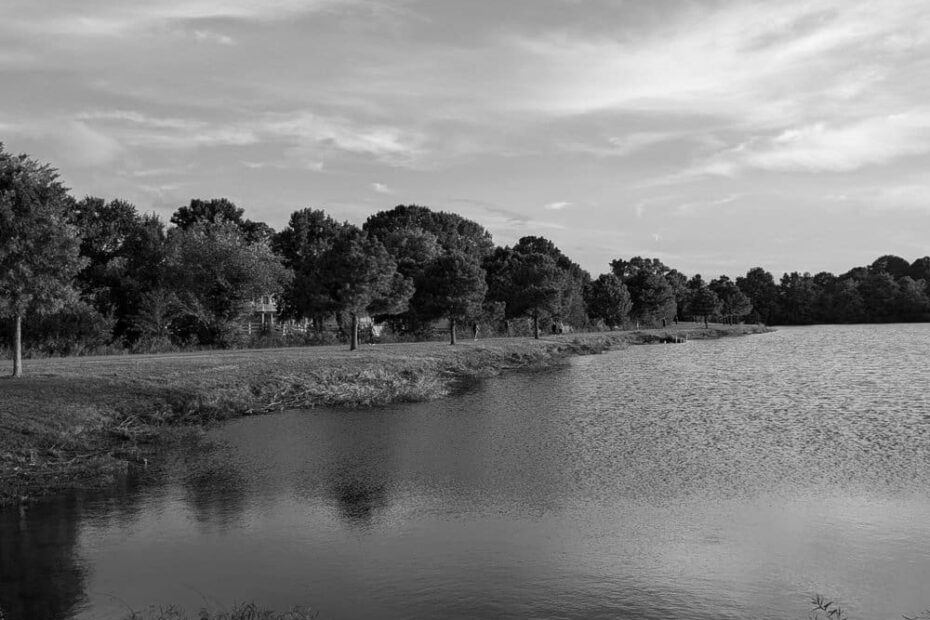 Best Hiking Trails in Norfolk VA