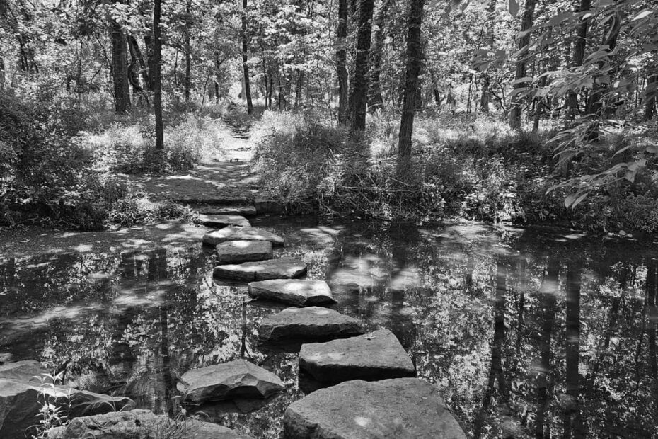 Best Hiking Trails in Olathe KS