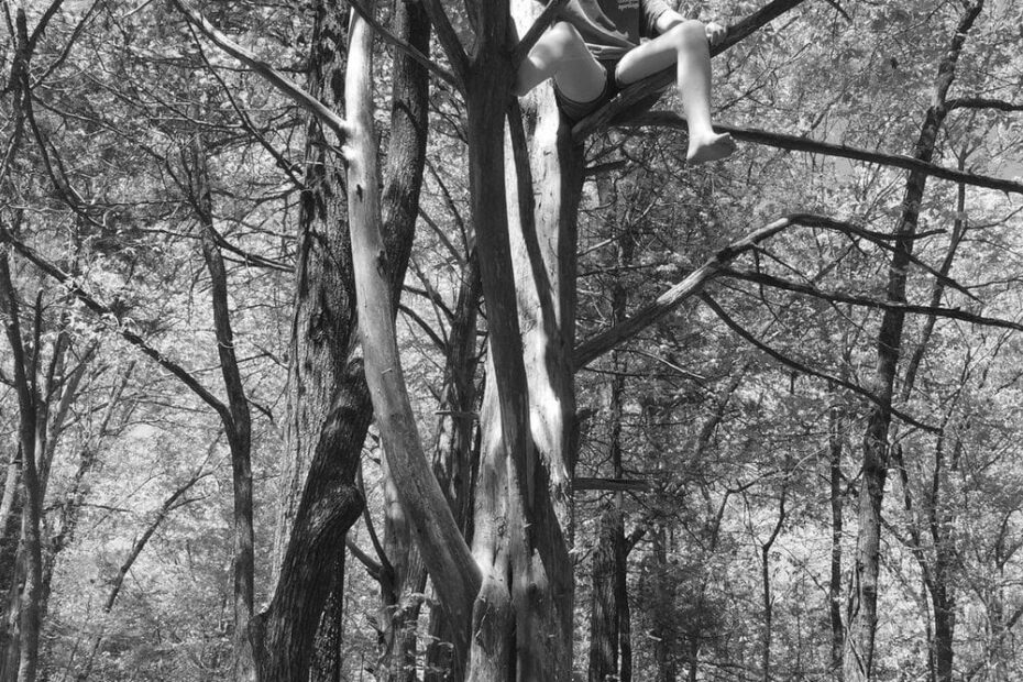 Best Hiking Trails in Olive Branch TN