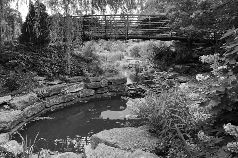 Best Hiking Trails in Overland Park KS