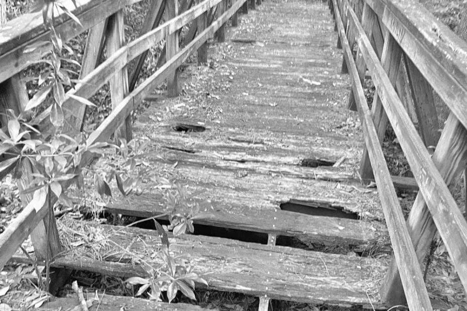 Best Hiking Trails in Pascagoula AL