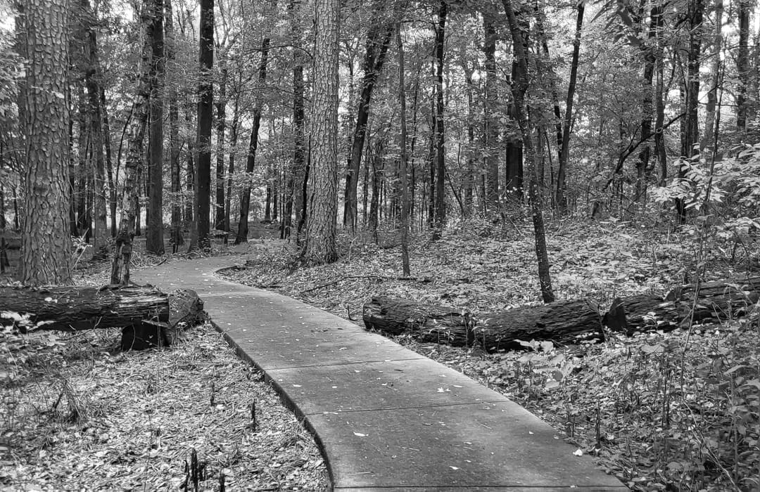 Best Hiking Trails in Pine Bluff AR
