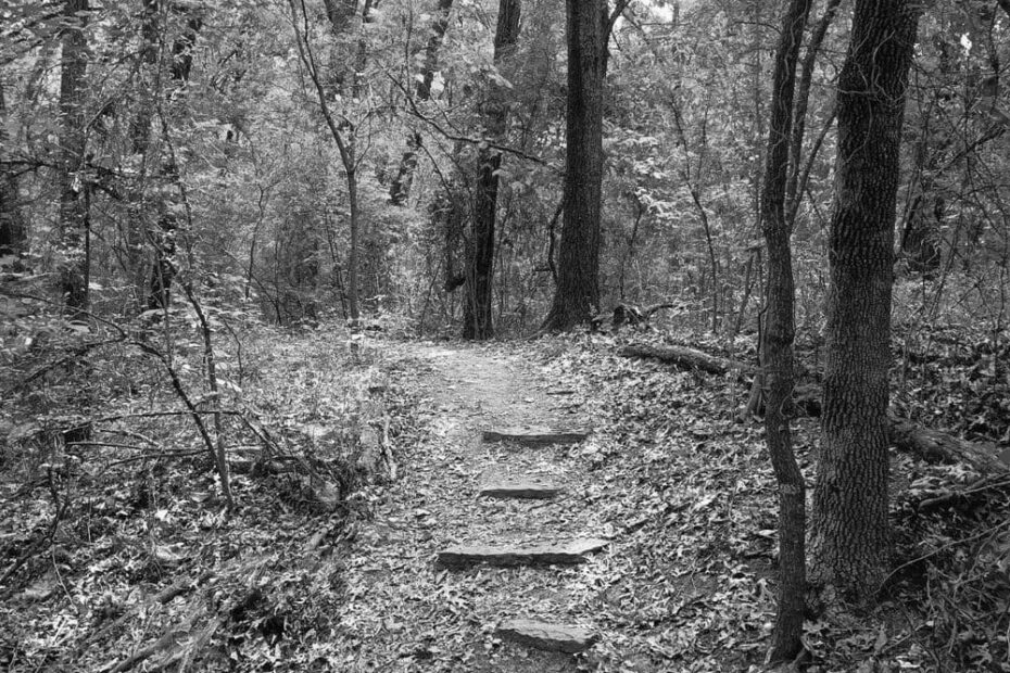 Best Hiking Trails in Plano TX