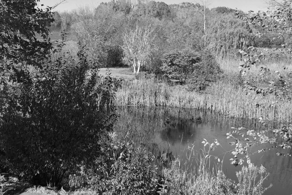 Best Hiking Trails in Plymouth MN