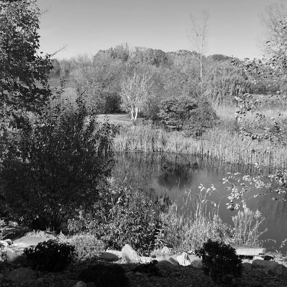 Best Hiking Trails in Plymouth MN
