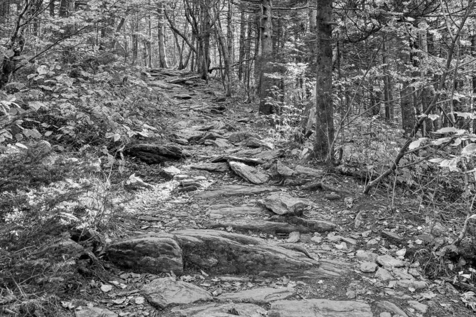Best Hiking Trails in Providence MA
