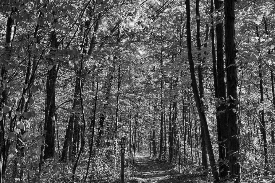 Best Hiking Trails in Racine WI