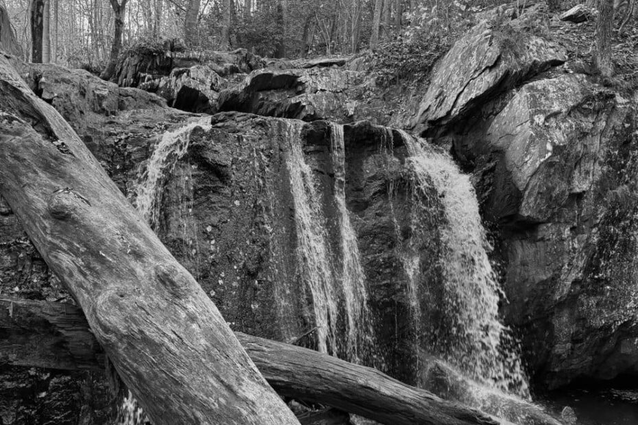 Best Hiking Trails in Reading PA