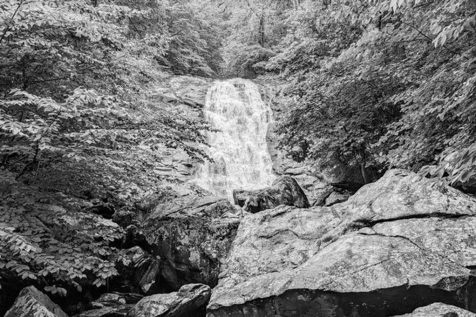 Best Hiking Trails in Richmond VA
