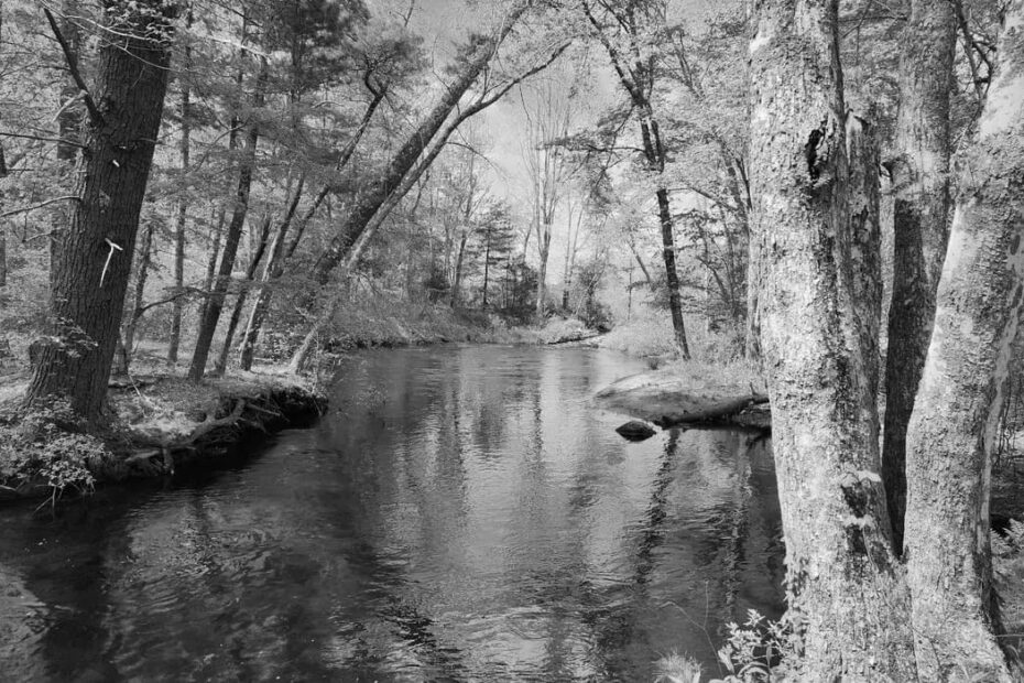 Best Hiking Trails in Rochester MA