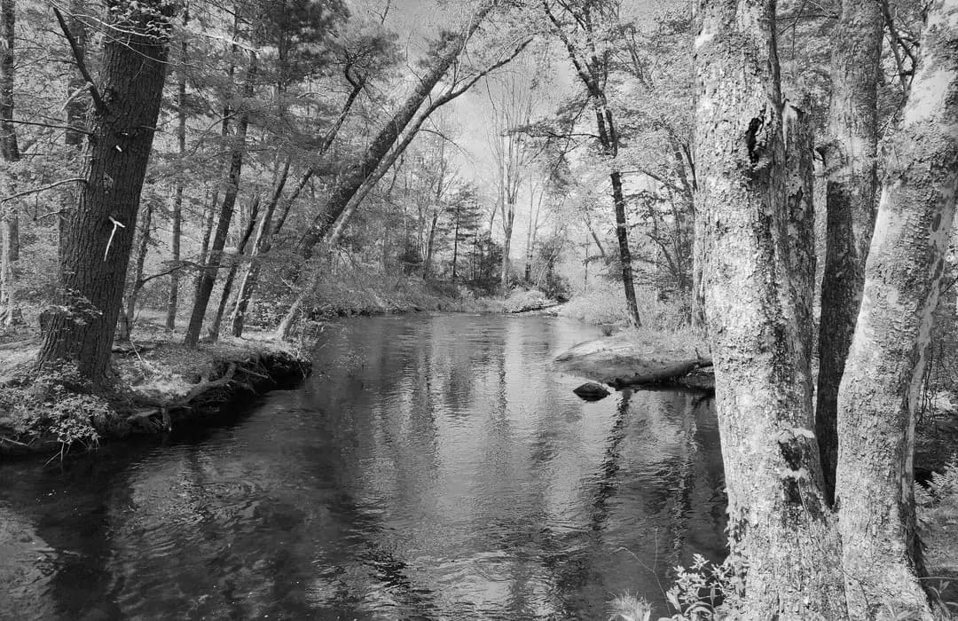 Best Hiking Trails in Rochester MA