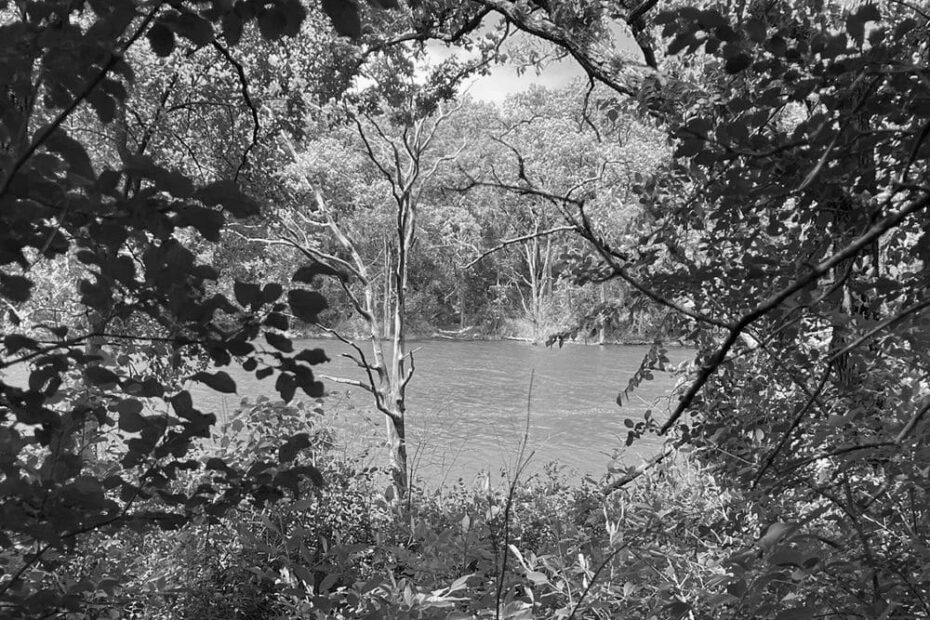 Best Hiking Trails in Rochester MN