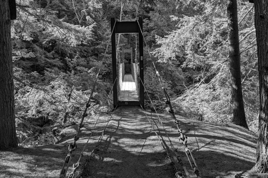 Best Hiking Trails in Rutland VT