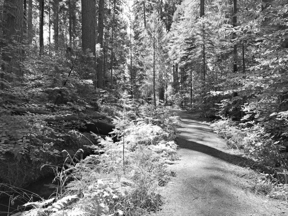 Best Hiking Trails in Sacramento CA