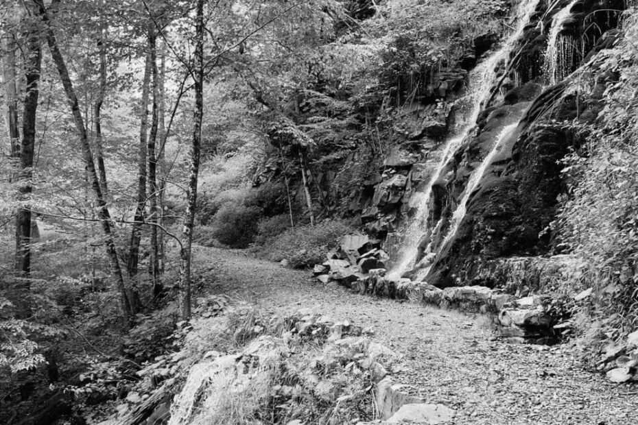 Best Hiking Trails in Saint Albans WV