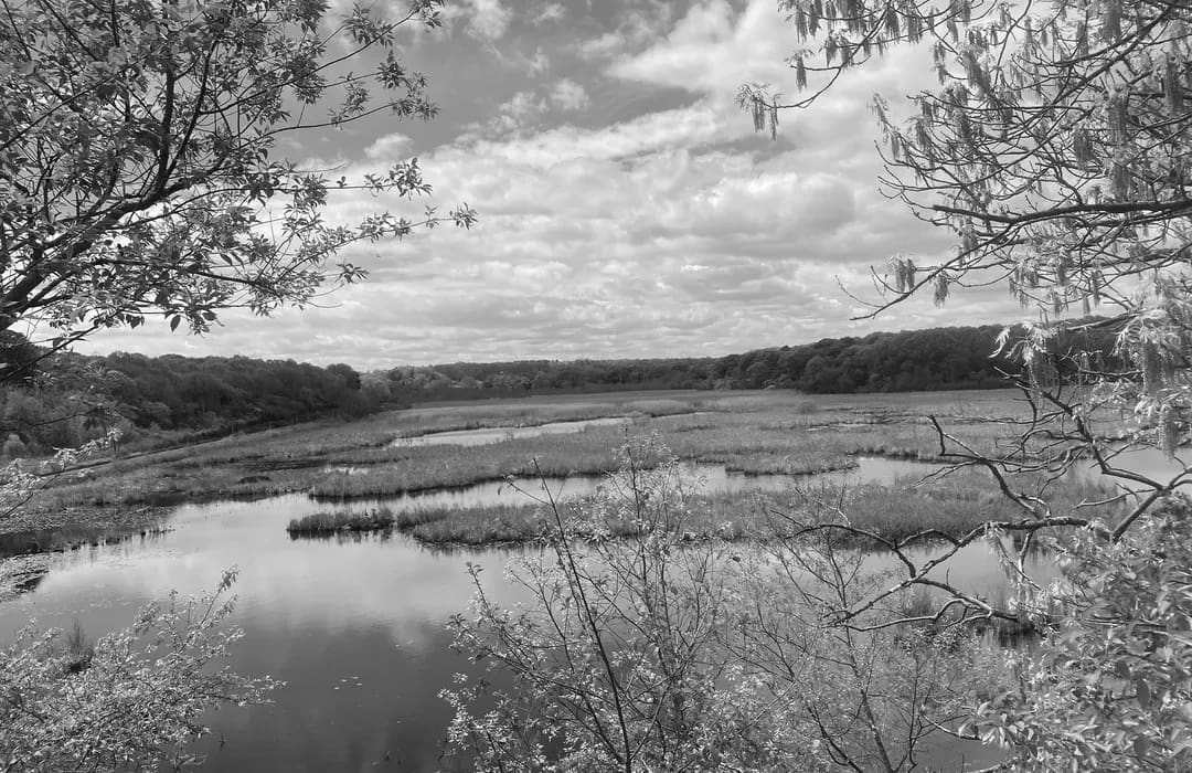 Best Hiking Trails in Salem MA
