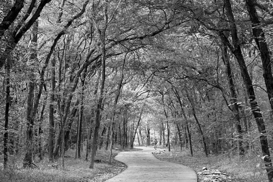 Best Hiking Trails in San Antonio TX