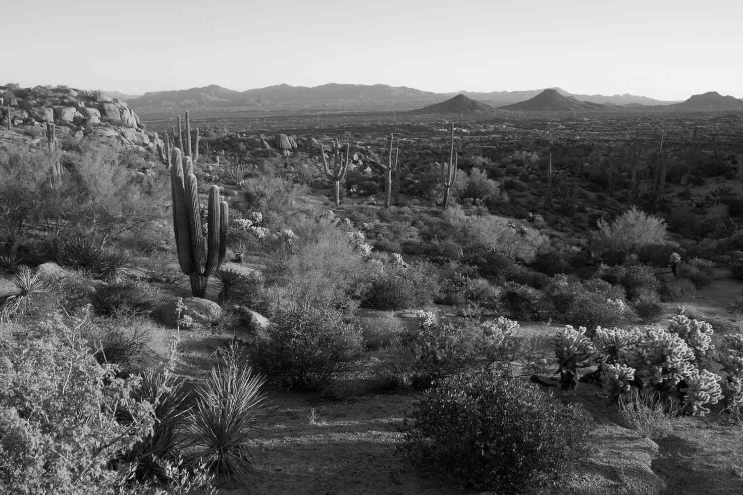 Best Hiking Trails in Scottsdale AZ