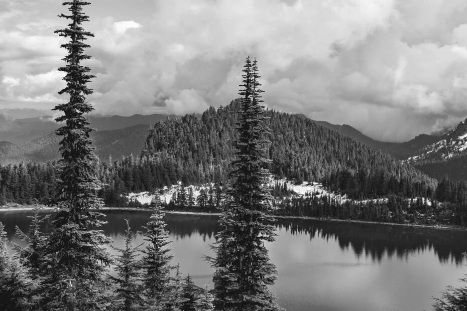 Best Hiking Trails in Seattle WA