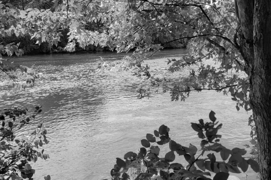 Best Hiking Trails in South Bend IN