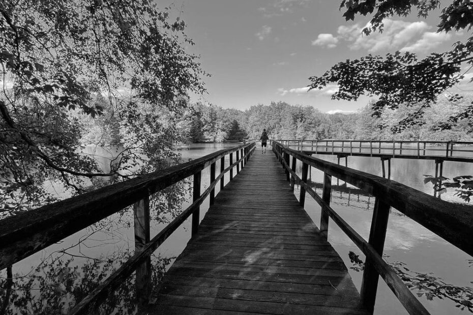 Best Hiking Trails in Southaven TN