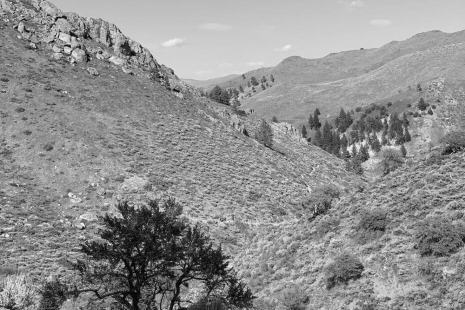 Best Hiking Trails in Sparks NV